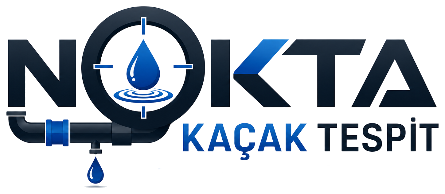 Nokta Kaçak Tespit
