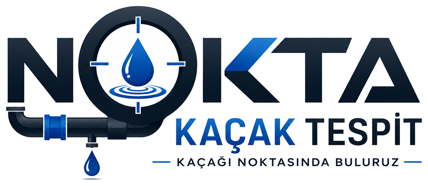Nokta Kaçak Tespit